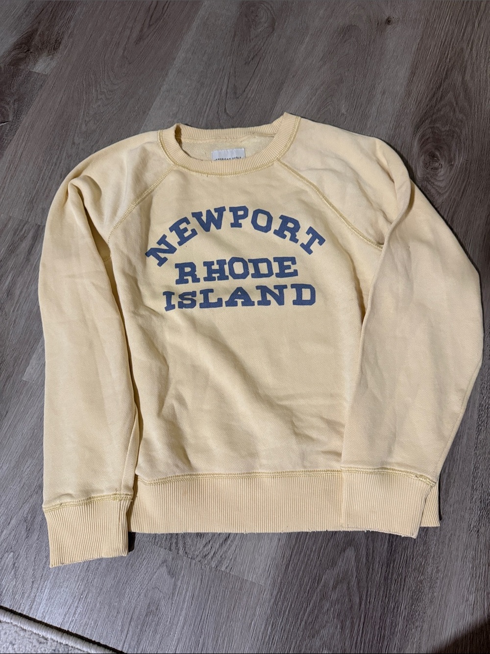 American Eagle Outfitters Cream Sweatshirt with Blue Newport Print